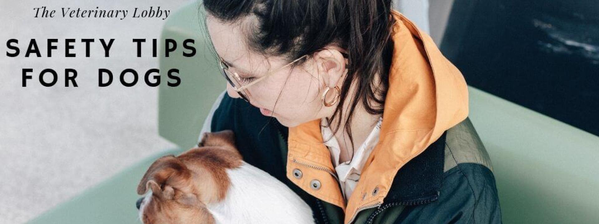 A dog and owner in a waiting room