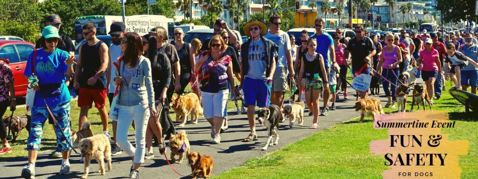 Dogs walking in a parade