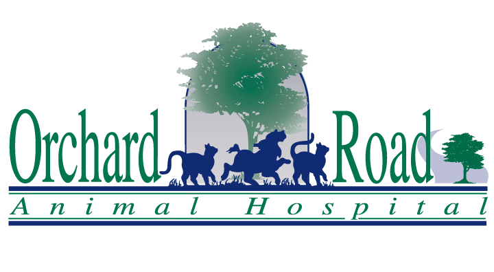 orchard road animal hospital jobs